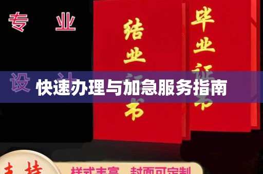 台山快速办理与加急服务指南