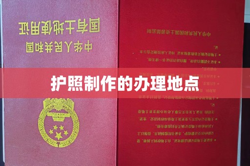 台山护照制作的办理地点