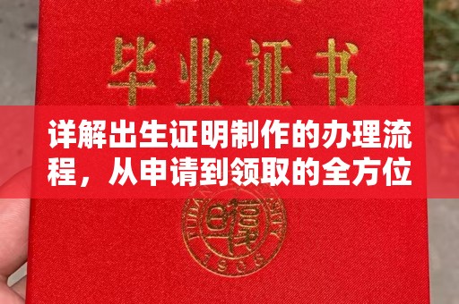 台山详解出生证明制作的办理流程，从申请到领取的全方位指南