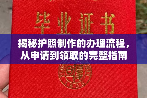 台山揭秘护照制作的办理流程，从申请到领取的完整指南