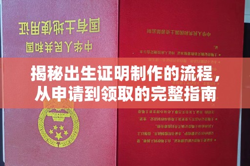 台山揭秘出生证明制作的流程，从申请到领取的完整指南