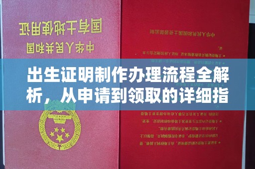 台山出生证明制作办理流程全解析，从申请到领取的详细指南