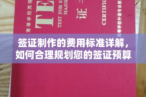 台山签证制作的费用标准详解，如何合理规划您的签证预算