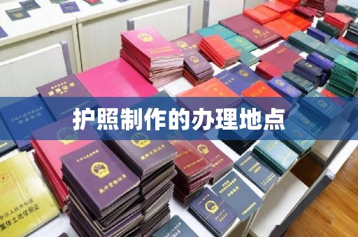 台山护照制作的办理地点